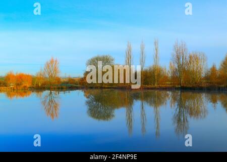 Trees reflected in lake of Lower Bruckland Farm Nature Reserve, Devon Stock Photo