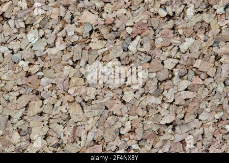 Corkwood background macro detailed image. Buoyant material from the Cork Oak tree (Quercus suber) that is used for a number of applications. Stock Photo