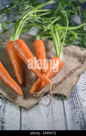 Fresh Carrots from Farmer Market sunlight on wood Stock Photo