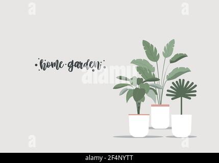 Home garden Vector template for posters and banners with copy spaceThree different tropical plants and flowers in white pots on beige background Flat Stock Vector