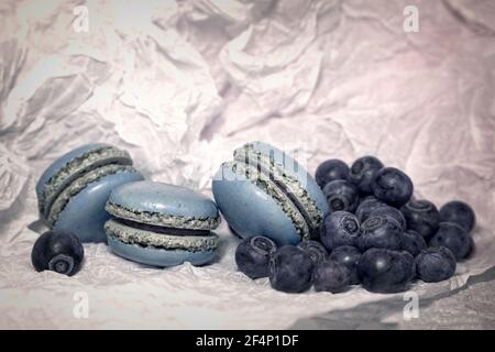 Delicious blueberry macaroons and fresh blueberries on white background Stock Photo
