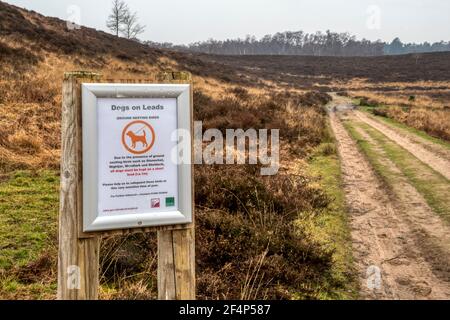 A sign at Dersingham Bog NNR warns that all dogs must be kept on a short lead to avoid disturbing ground nesting birds. Stock Photo