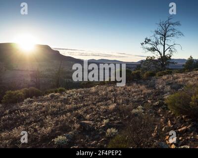 Sunrise over Rawnsley Bluff (960m), Flinders Ranges, South Australia Stock Photo