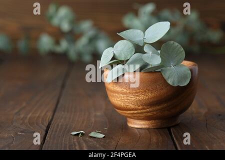 Wooden bowl of green eucalyptus leaves on wooden table. Stock Photo