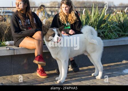 Two women with a dog in a garden Stock Photo - Alamy