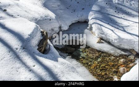 Open spot in a creek in late winter, early spring, New Hampshire #8705 Stock Photo
