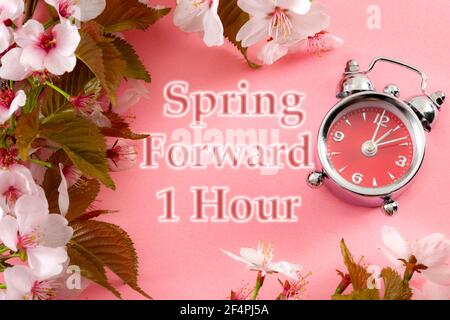 Turn clocks on hour ahead, star of daylight savings time change and reminder to spring forward concept with clock on pink background with springtime f Stock Photo