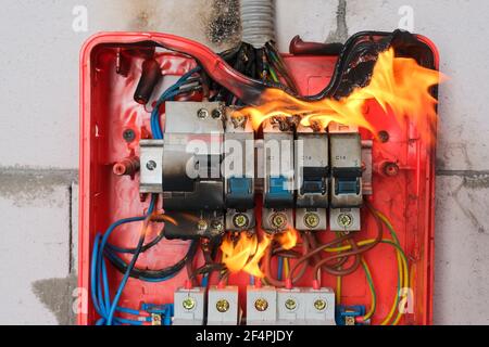 邦楽 SHORT CIRCUIT / Break your wall u3aqqyuy0nu91.jpg