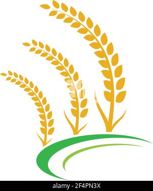 Wheat logo vector icon illustration design Stock Vector