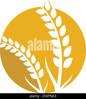Wheat logo vector icon illustration design Stock Vector