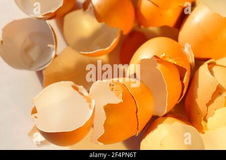 Chicken egg shells. Crushed chicken eggs. Natural compost - eggshells, a source of calcium. Stock Photo