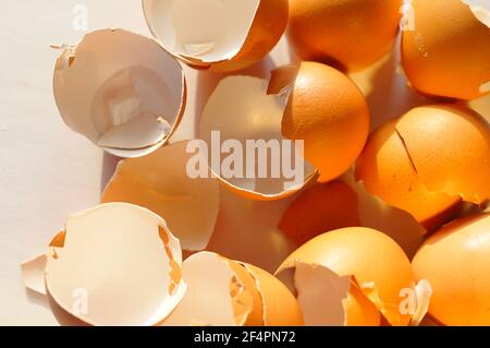 Chicken egg shells. Crushed chicken eggs. Natural compost - eggshells, a source of calcium. Stock Photo