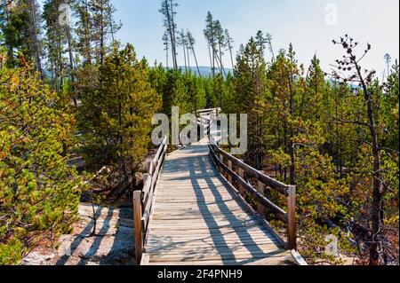 A trail with a wooden deck through the forest and sand. Eco-trail in Yellowstone National Park. High quality photo Stock Photo