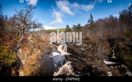 Rogie Falls on the Black Water near Contin, one of the many magnificent waterfalls that are to be found in our local area! Stock Photo