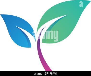 Leaf logo images Stock Vector