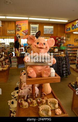 Souvenirs are offered at The Thing on Interstate 10 between Benson and Willcox, Arizona, USA. Stock Photo