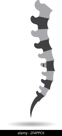 Spine logo images Stock Vector