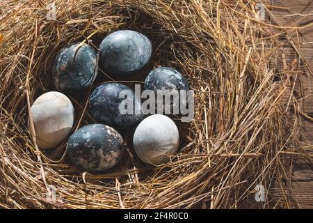 Easter composition - blue marble Easter eggs painted with natural dyes in a nest of hay Stock Photo