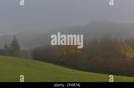 Fog clears in the Eifel Stock Photo