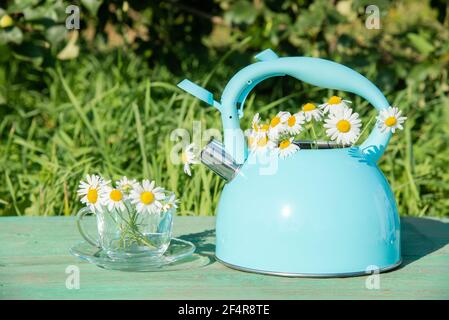 Beautiful summer still life. Blue teapot with a bouquet of fresh white daisies and a glass mug on the table in the green grass Stock Photo