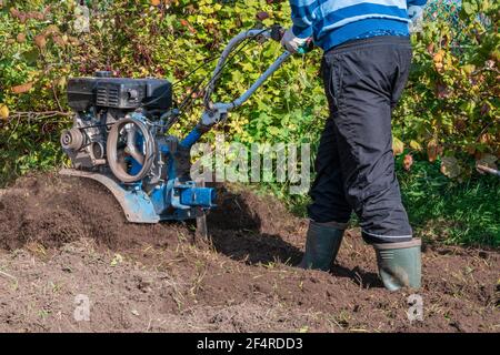 An unrecognizable farmer plows the land with a hand-held motor plow. Agricultural machinery: cultivator for tillage in the garden, motorized hand plow Stock Photo