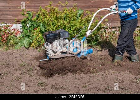 An unrecognizable farmer plows the land with a hand-held motor plow. Agricultural machinery: cultivator for tillage in the garden, motorized hand plow Stock Photo