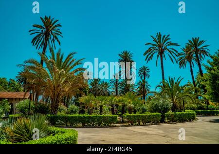 Park Villa Bonanno, an urban park with palm trees and exotic plants in Palermo, Sicily, Italy Stock Photo