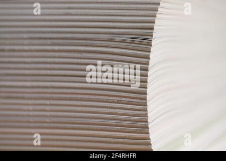 Close up of the corner of pages in a book with very narrow depth of field. Focus on the pages left Stock Photo