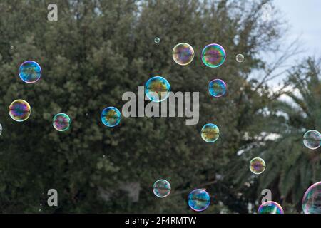 Soap bubbles on green natural background Stock Photo