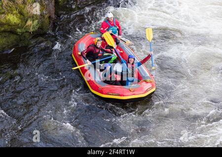 People taking part in a team building white water rafting event on the River Dee in Llangollen North Wales Stock Photo