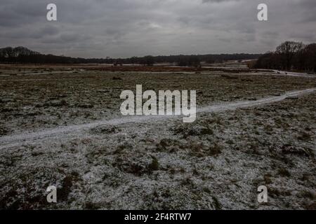 Freezing temperatures in Richmond Park, West London as a cold front sweeps across the United Kingdom with snow showers and frosts, England, UK Stock Photo