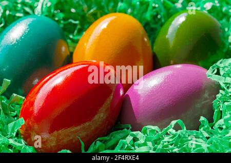 Colorful dyed Easter eggs in a green paper nest. Multicolored Paschal eggs, arranged in a nest, made of green shredded paper. Group of hard boiled egg Stock Photo