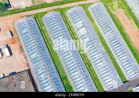Large greenhouse agriculture for growing vegetable plants, aerial drone view Stock Photo