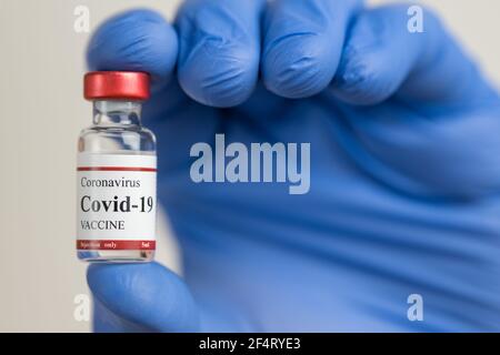 Doctors hand in latex blue gloves holds Covid-19 coronavirus vaccine vial. Stock Photo