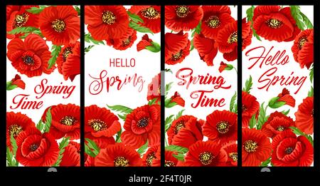 Red poppy flowers spring banners. Springtime celebration posters with flowering common or field poppy on white background. Flowers with red petals, bl Stock Vector