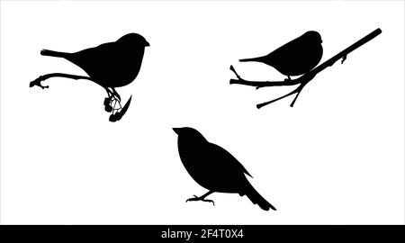 Vector set of birds and twigs. Decorative silhouette of birds sitting on tree branches. Flying birds Stock Vector