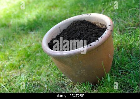 Flower pot filled with compost mulch Stock Photo