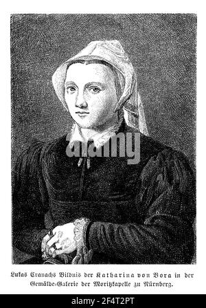 Katharina von Bora, wife of Martin Luther, from the painting by Lucas Cranach, 16th century Stock Photo