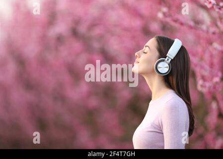 Side view portrait of a woman relaxing listening to music with wireless headphones in a pink field Stock Photo