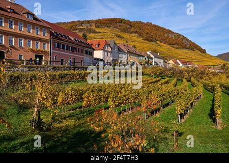 geography / travel, Austria, Weissenkirchen, autumnal landscape and Hauerhaus (Hauer House), Additional-Rights-Clearance-Info-Not-Available Stock Photo