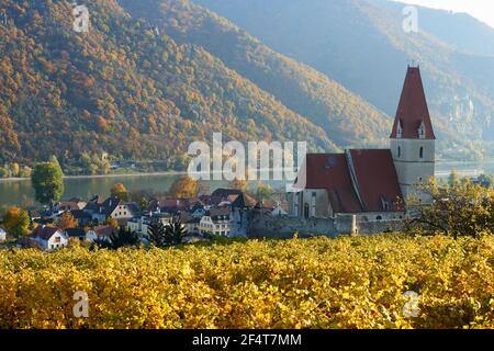 geography / travel, Austria, Weissenkirchen, fortified church Virgin Mary ascension to heaven in autum, Additional-Rights-Clearance-Info-Not-Available Stock Photo