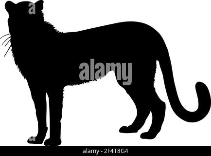 Cheetah silhouette. Smooth and clean lines. High detailed Cheetah silhouette. Vector Illustration. Stock Vector