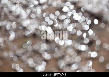 product backdrop with patterned glass Stock Photo