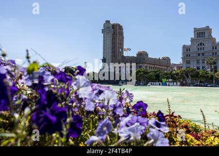 Looking over purple flowers to the Cabildo, island government buildings in the Plaza de Espana, Santa Cruz, Tenerife, Canary Islands, Spain Stock Photo