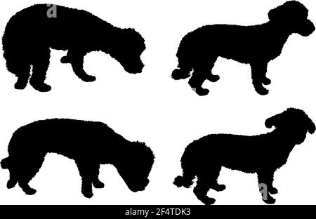 Bichon Frise dog silhouette, side view, vector illustration Stock ...