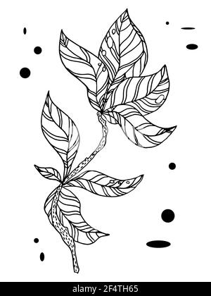 Free: /m/02csf Drawing Leaf Line art, autumn leaves transparent background  PNG clipart - nohat.cc