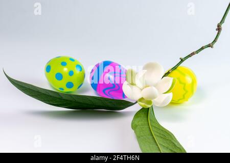 White magnolia flower (Magnolia grandiflora) and colors of easter eggs on white background. Stock Photo