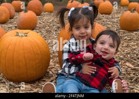 Young siblings pose for fall family portraits in a pumpkin patch for holiday greeting card. Cute adorable little babies sit on each other lap laughing Stock Photo