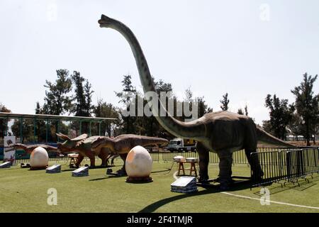 MEXICO CITY MEXICO MARCH 22 General view of a dinosaur