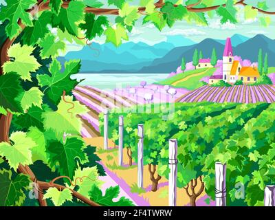 Rural landscape with vineyard, grapes bunches, fields and  sea. Four seasons.  Spring season. (Other seasons in the my portfolio). Stock Vector
